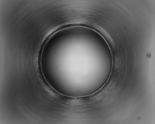 X0000103320834200809051145