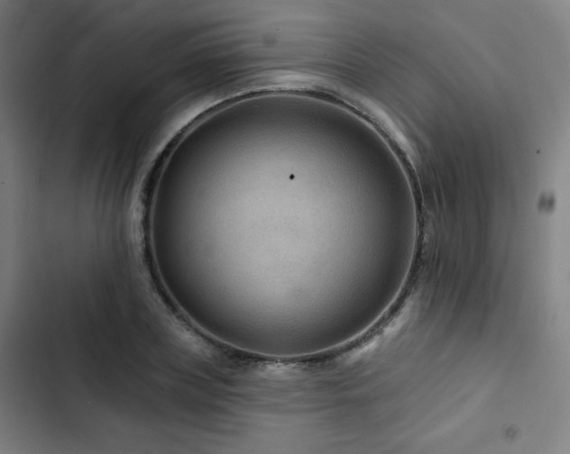 X0000103320835200809051145