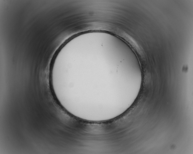 X0000103320836200809051145