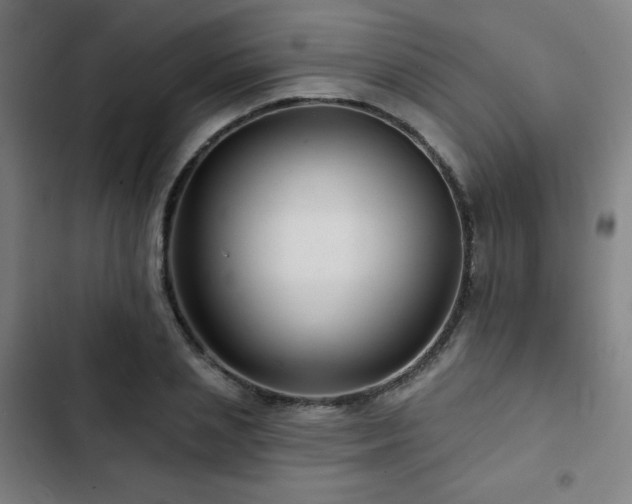 X0000103320837200809051145