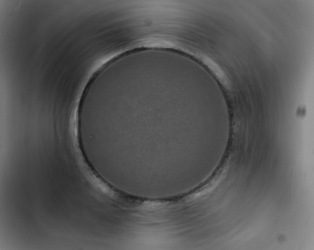 X0000103320840200809051145