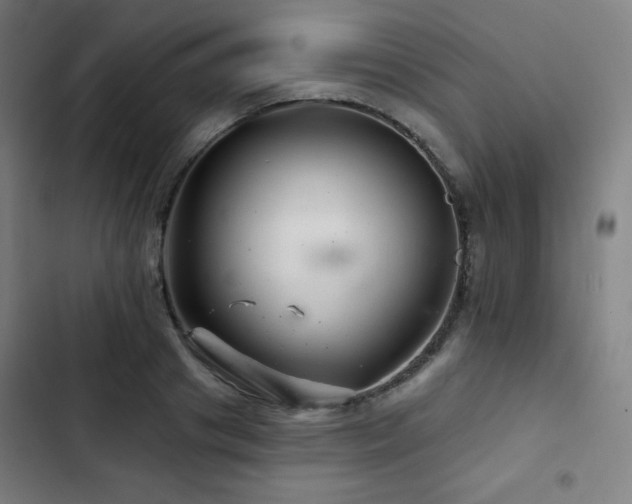 X0000103320841200809051145