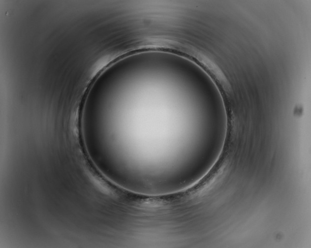 X0000103320842200809051145