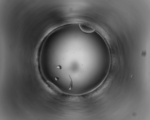 X0000103320843200809051145