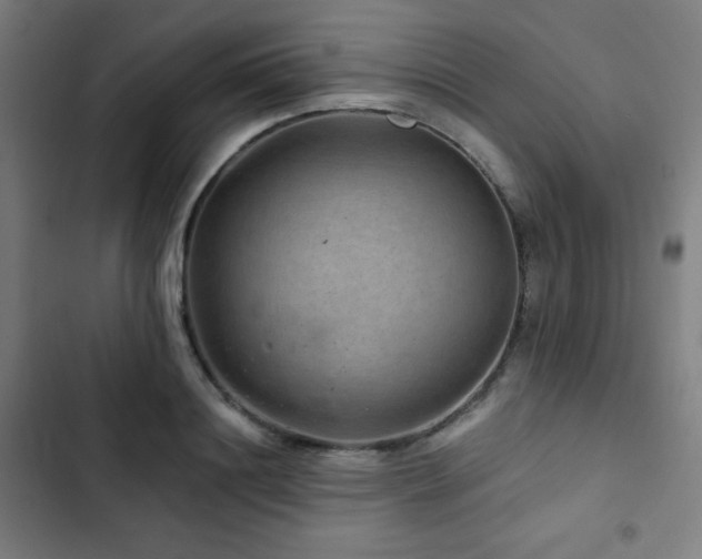 X0000103320844200809051145