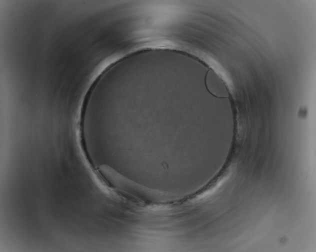 X0000103320845200809051145