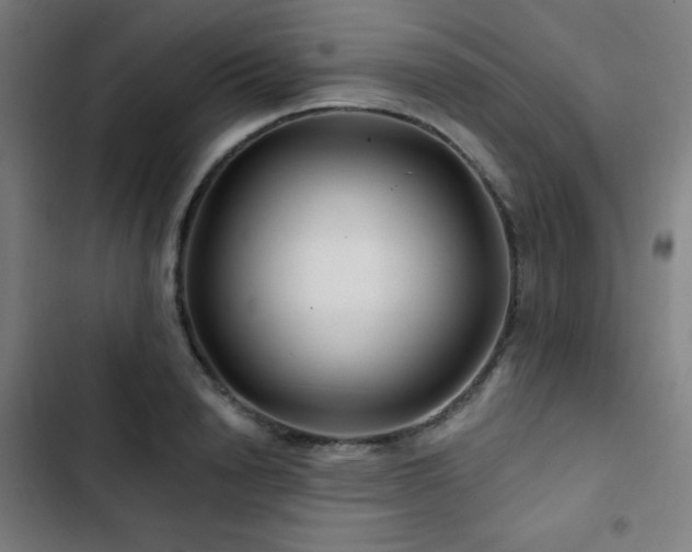 X0000103320846200809051145
