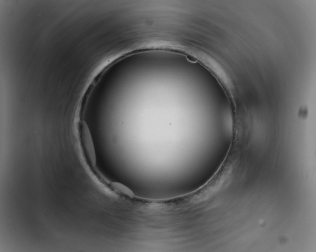 X0000103320847200809051145