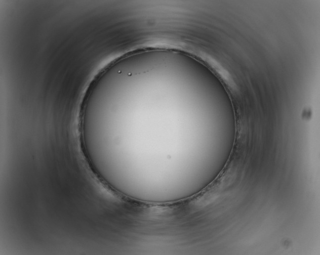 X0000103320848200809051145