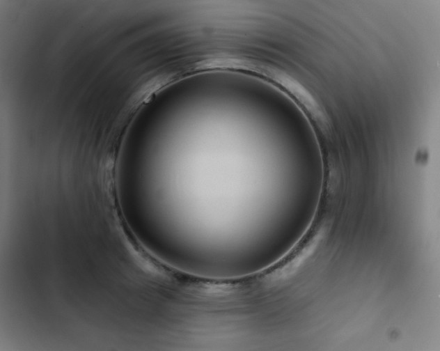 X0000103320849200809051145