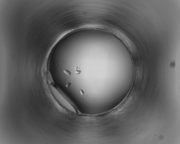 X0000103320852200809051145
