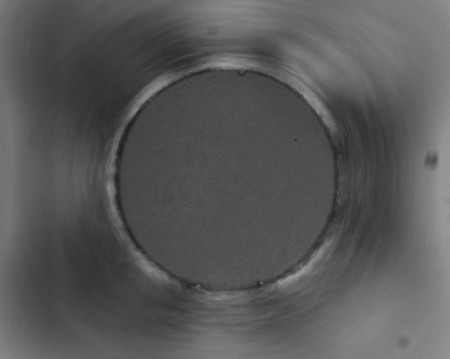 X0000103320853200809051145