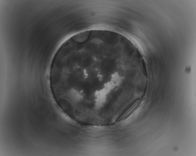 X0000103320854200809051145