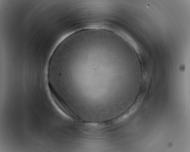 X0000103320855200809051145