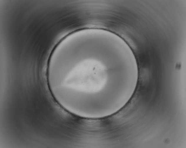 X0000103320856200809051145