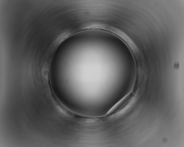 X0000103320857200809051145