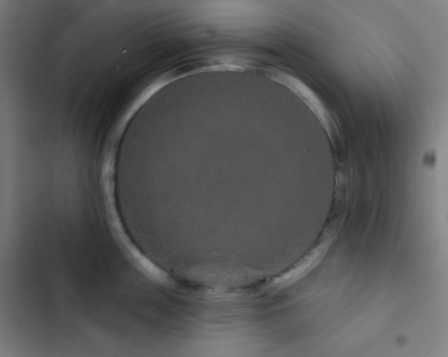 X0000103320859200809051145