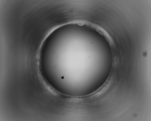 X0000103320860200809051145