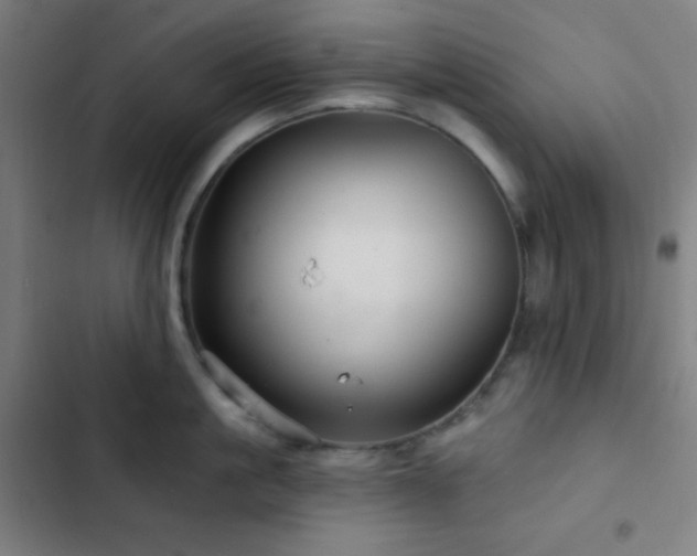 X0000103320861200809051145