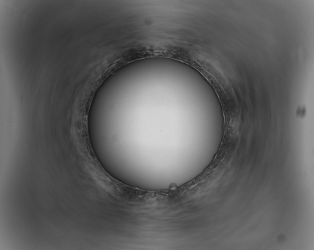 X0000103320865200809051145