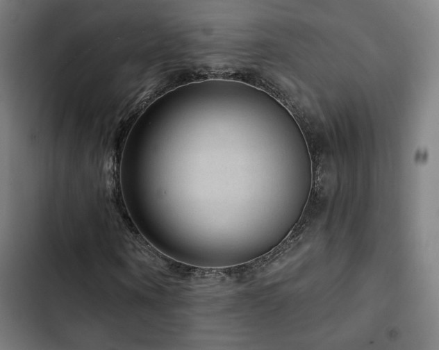 X0000103320866200809051145