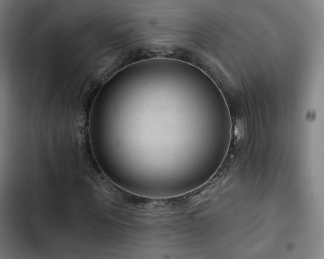 X0000103320867200809051145