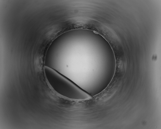 X0000103320868200809051145