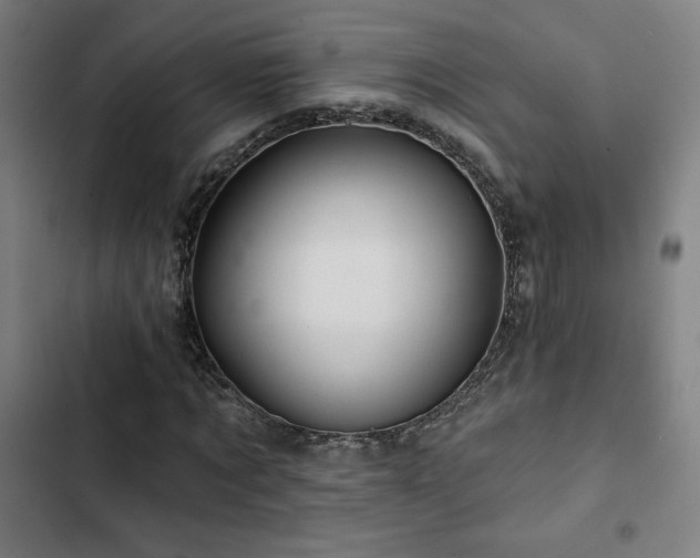 X0000103320869200809051145