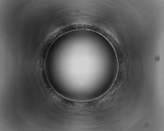 X0000103320870200809051145
