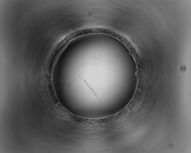 X0000103320871200809051145
