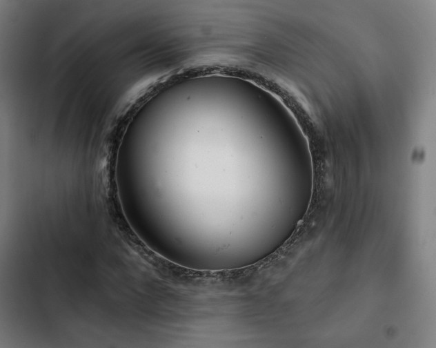 X0000103320872200809051145