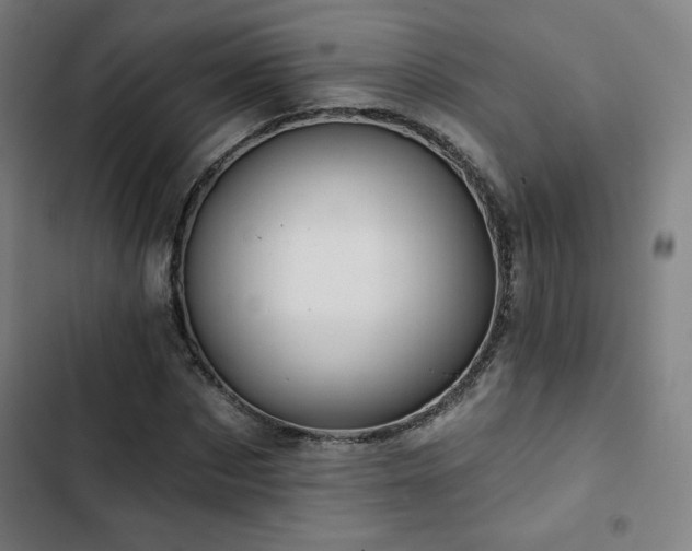 X0000103320873200809051145