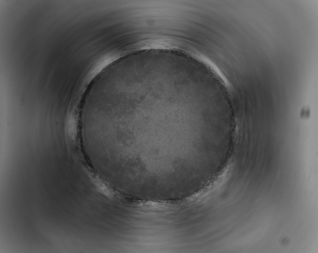 X0000103320874200809051145