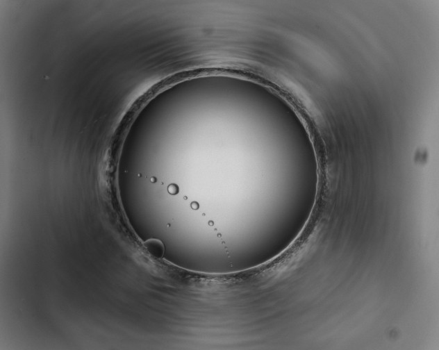 X0000103320875200809051145