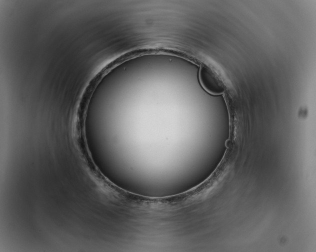 X0000103320876200809051145