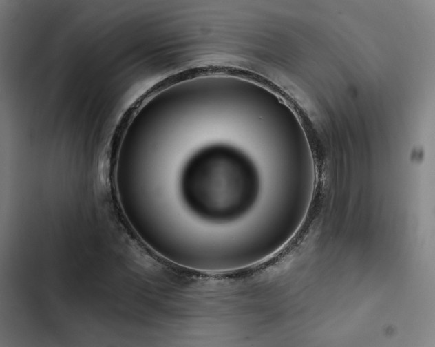 X0000103320877200809051145