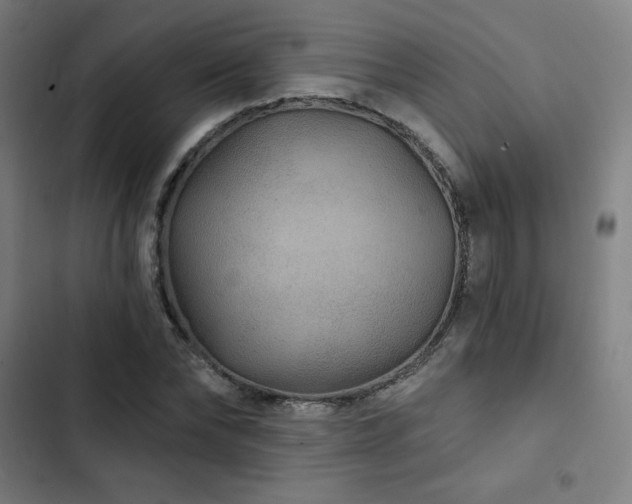 X0000103320878200809051145