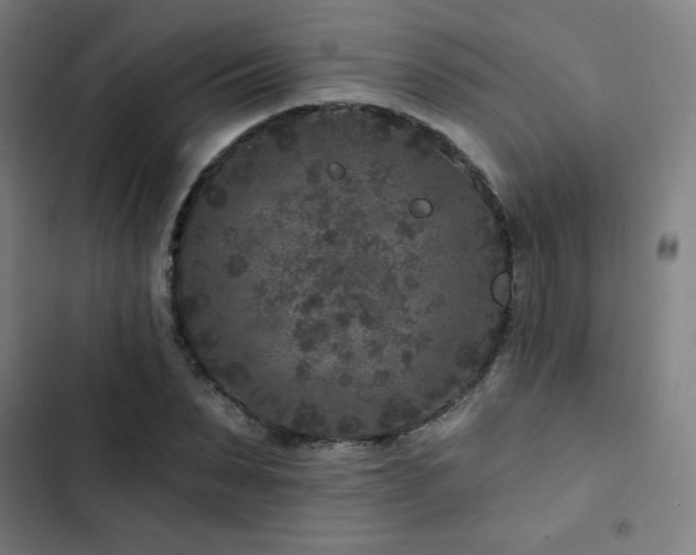 X0000103320879200809051145