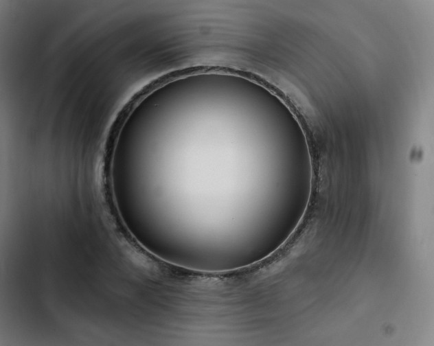X0000103320880200809051145