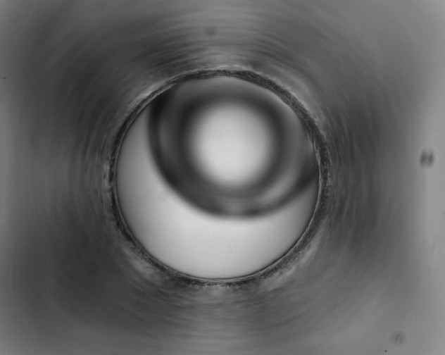 X0000103320881200809051144
