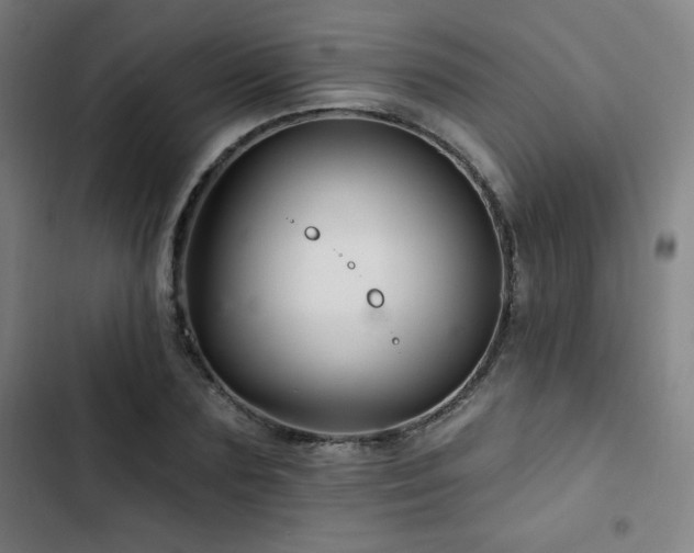X0000103320883200809051144
