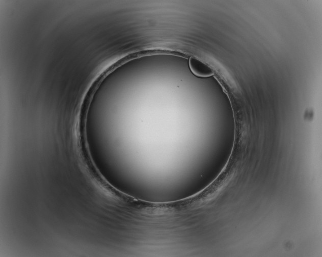 X0000103320884200809051144