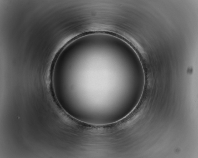 X0000103320885200809051144