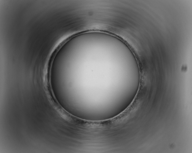 X0000103320886200809051144