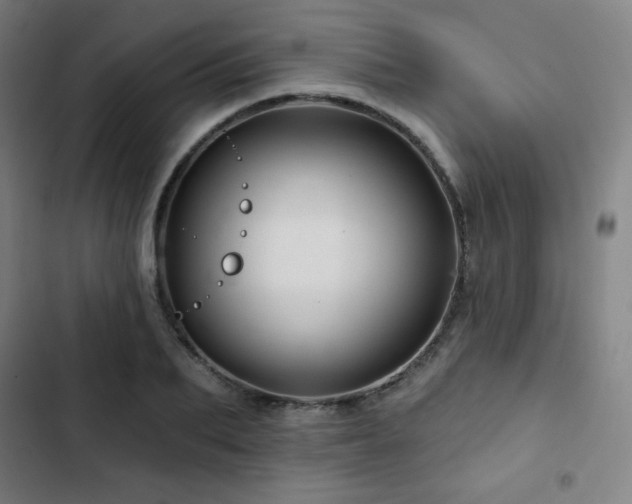 X0000103320887200809051144