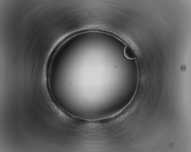 X0000103320888200809051144