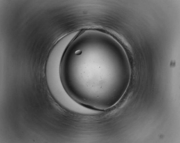 X0000103320889200809051144