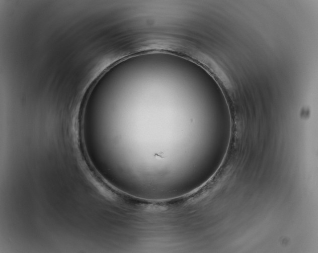 X0000103320890200809051144