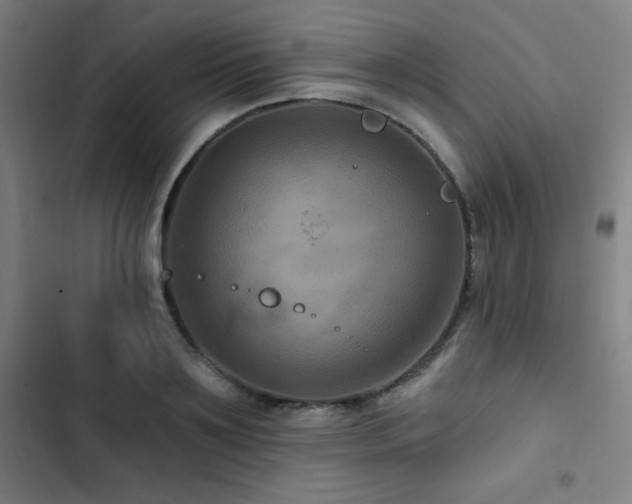X0000103320891200809051144