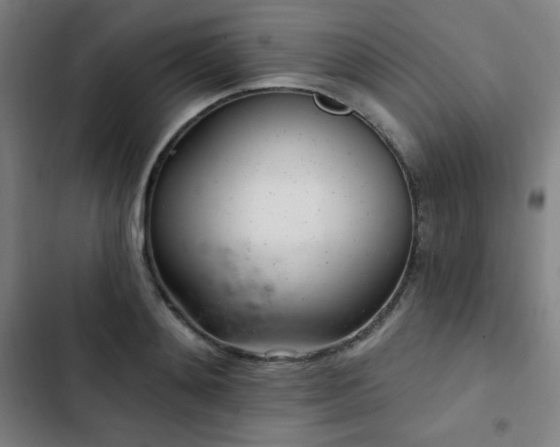 X0000103320892200809051144